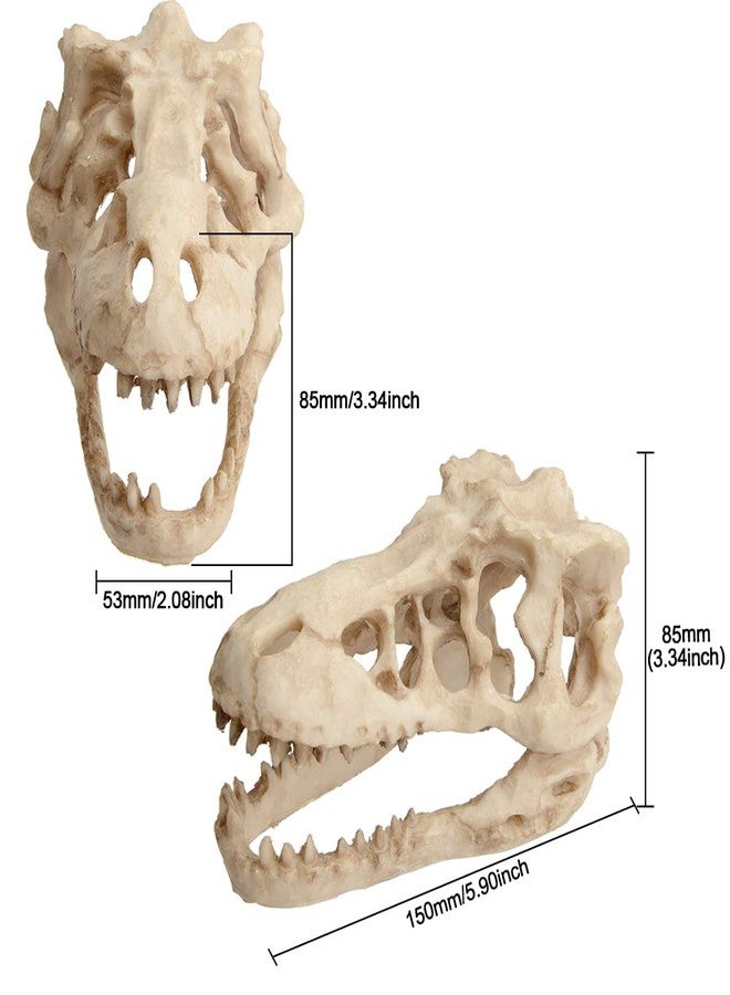 Saim Dinosaur Skull Model Resin Aquarium Decorative Reptile Decor Home Office Display - Image 5