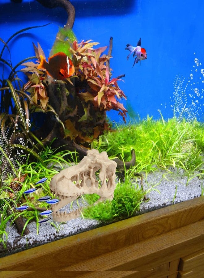 Saim Dinosaur Skull Model Resin Aquarium Decorative Reptile Decor Home Office Display - Image 2