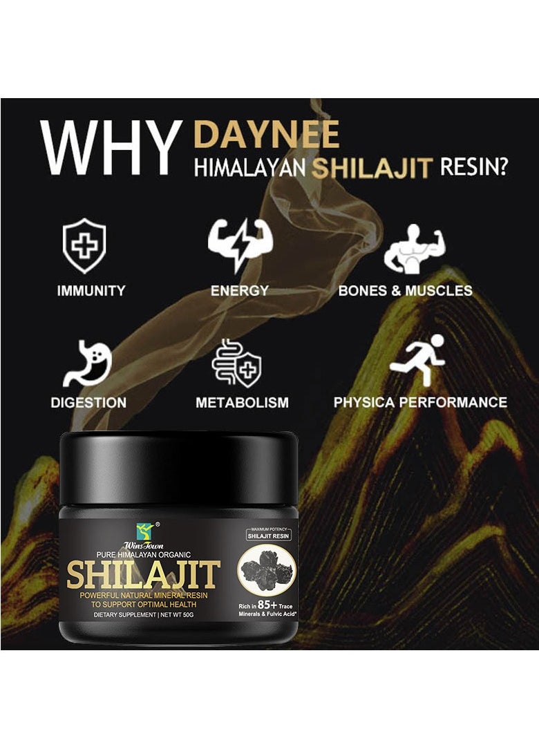 Wins Town - Pure Shilajit Himalayan Organic Shilajit Resin 50g - Image 1