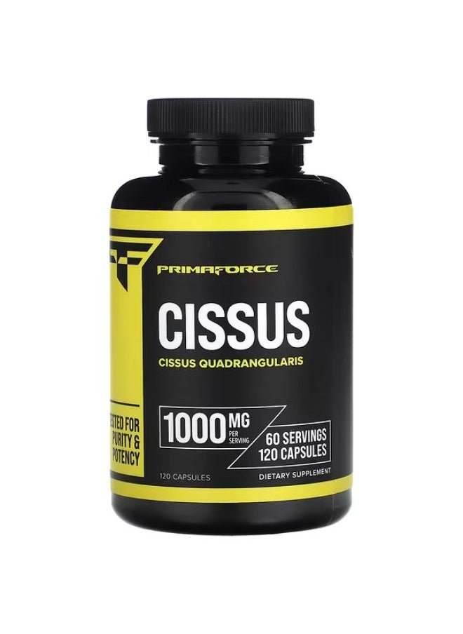 Primaforce - Primaforce Cissus 500 mg 120 Capsules - Image 1