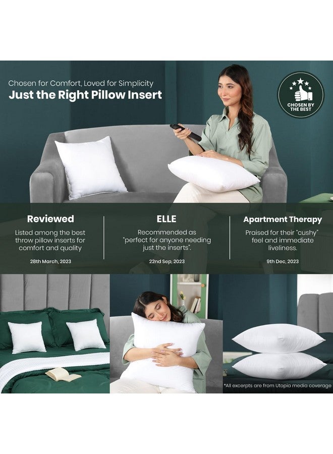 Utopia Bedding Throw Pillows Insert (Pack of 2, White) - 20 x 20 Inches Bed and Couch Pillows - Indoor Decorative Pillow - Image 3