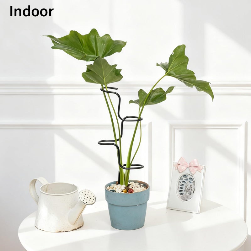 GOOOXIM 3PCS Indoor Plant Support Stakes - Sturdy Metal Trellis for Garden Flowers & Monstera, Durable & Easy to Use, Perfect for Small to Medium Indoor Plants, Ideal Gift for Plant Lovers! - Image 4