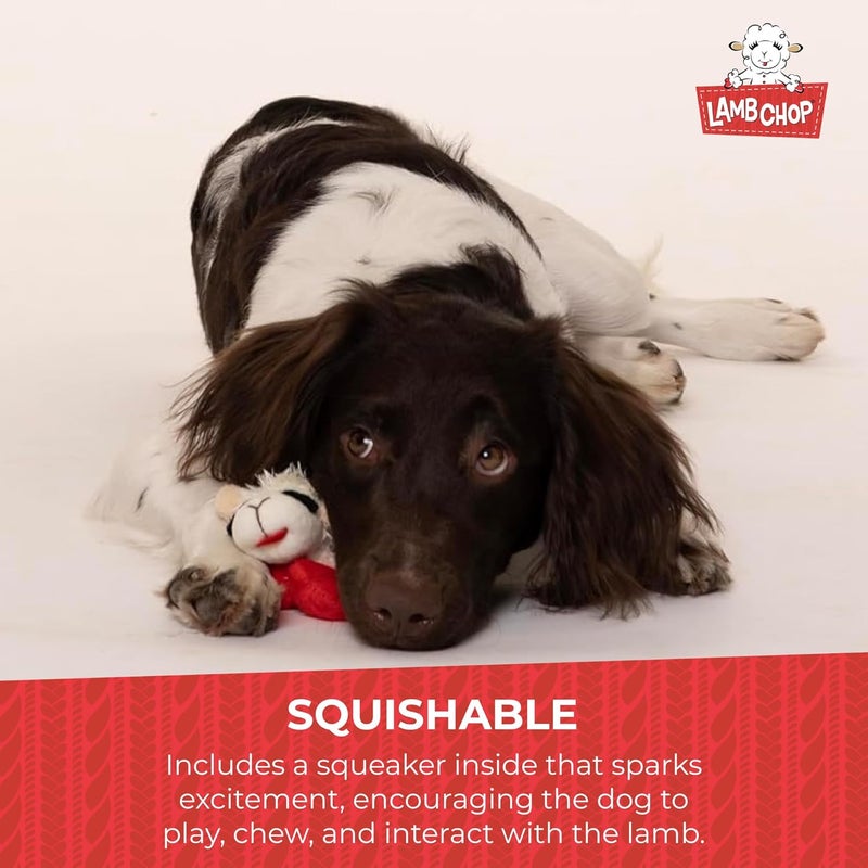Multipet Lambchop Plush Squeak Toy Mini for Pets - 6-Inch Soft Dog Toy - Image 5