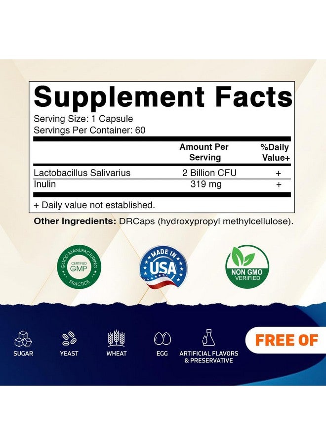 Vitamatic فيتامينات لاكتوباسيلس ساليفاريوس 2 مليار لكل كبسولة DR - 60 عدداً - دعم هضمي - مصنوع من ألياف الإينولين البريبايوتيك (1 زجاجة) - Image 2