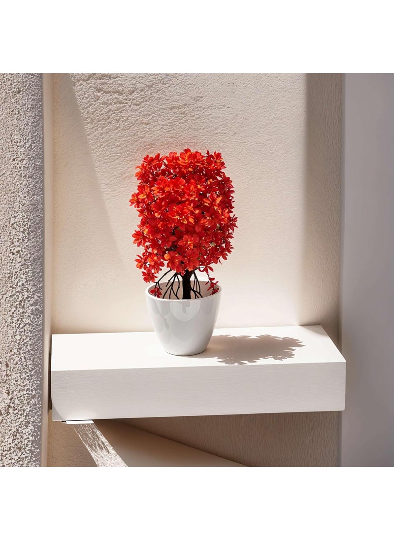 Contraa Contraa Flowers Artificial Wild Plant with Pot Showcase Decoration Plants Flowers Fake Plant Artificial Plants for Home Decor Office Gifting Plants Decorative Pack of 2 RVAP16  - Image 5