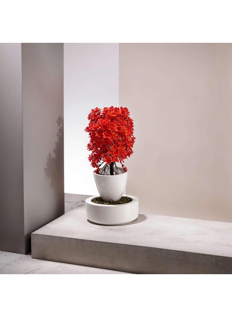 Contraa Contraa Flowers Artificial Wild Plant with Pot Showcase Decoration Plants Flowers Fake Plant Artificial Plants for Home Decor Office Gifting Plants Decorative Pack of 2 RVAP16  - Image 4