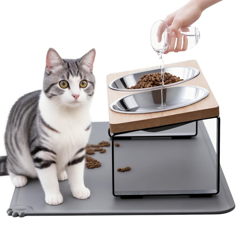 Summark Upgraded Elevated Cat Bowls with Food Mat,15Â°Tilted Stand Anti Vomiting Raised Cat Dishes for Food and Water,2 Stainless Steel Bowls for Cats and Puppy - Image 1