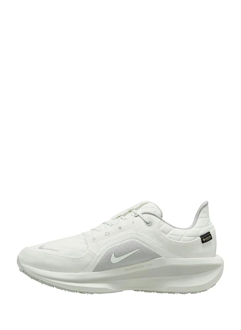 Nike Air Winflo 11 Gtx