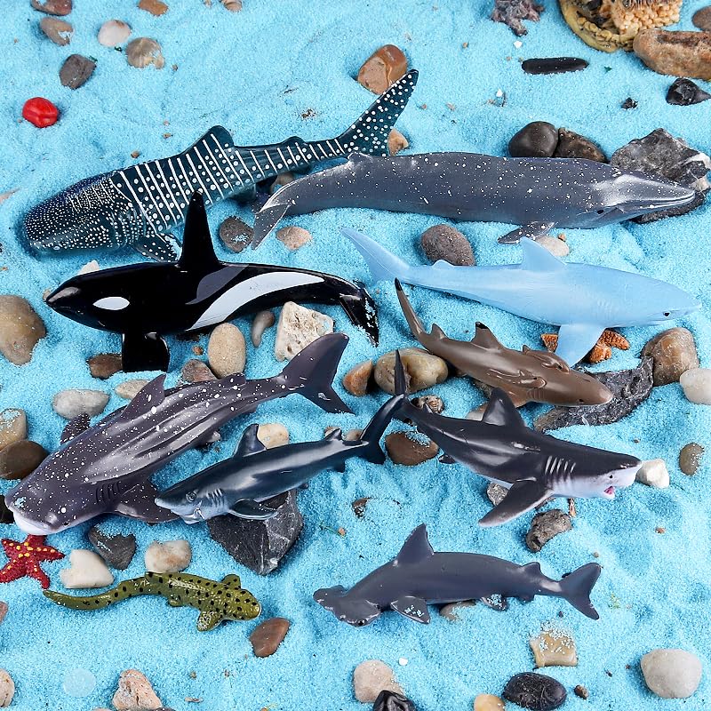 SCAHOW 10pcs Sea Animal Figures, Realistic Small Ocean Animal Toys Set with Whale Shark Octpus - Image 3