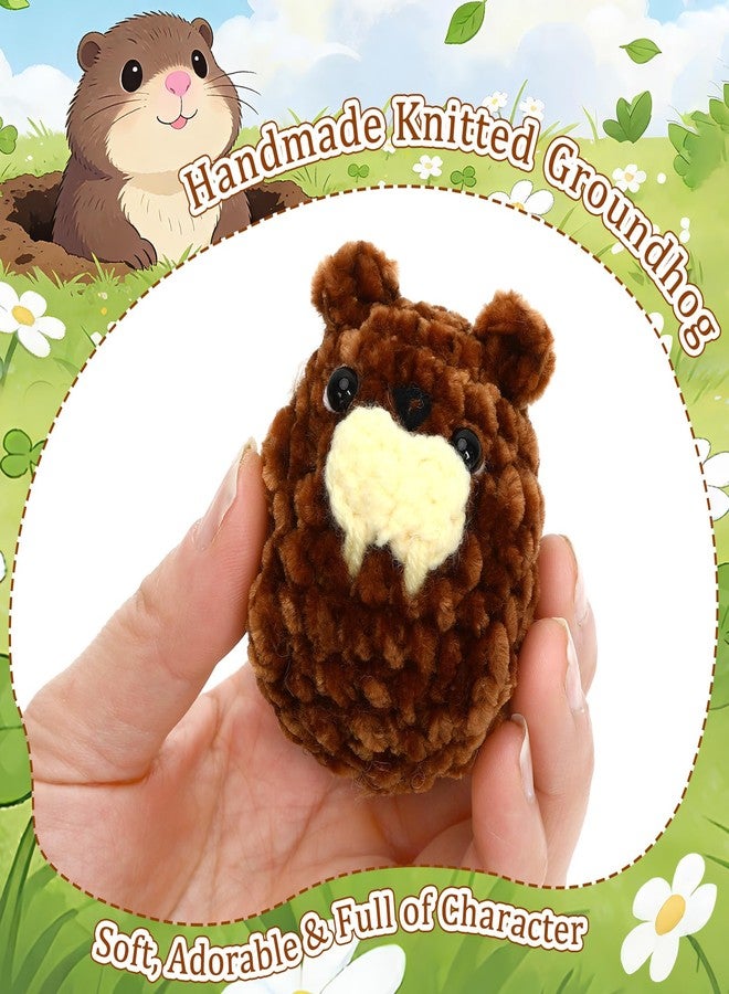 JULEASEL Little Pocket Groundhog, Knitted Groundhog Figurine, Cute Collectible Gift, Groundhog Day Decor, Travel Buddy, Gift for Friends, Coworkers - Image 3