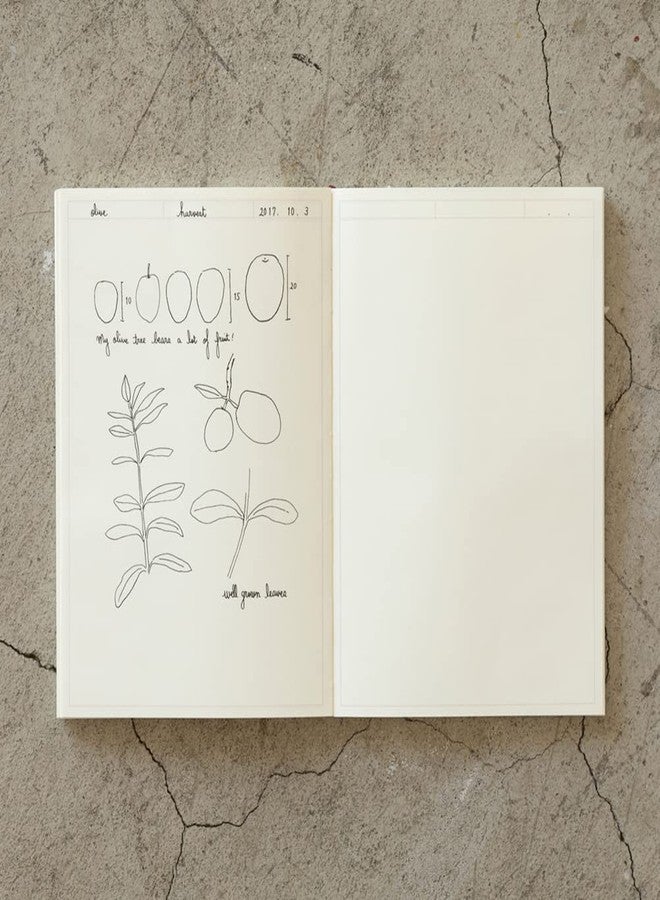 Midori DESIGNPHIL 15258006 Midori Notebook, MD Notebook, A5 Journal, Frame - Image 4