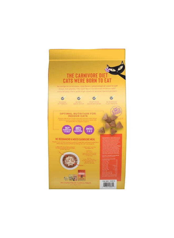 Tiki Cat Born Carnivore Indoor Health, Chicken & Turkey Meal, GrainFree Baked Kibble To Maximize Nutrients, Dry Cat Food, 6 Lbs. Bag - Image 2