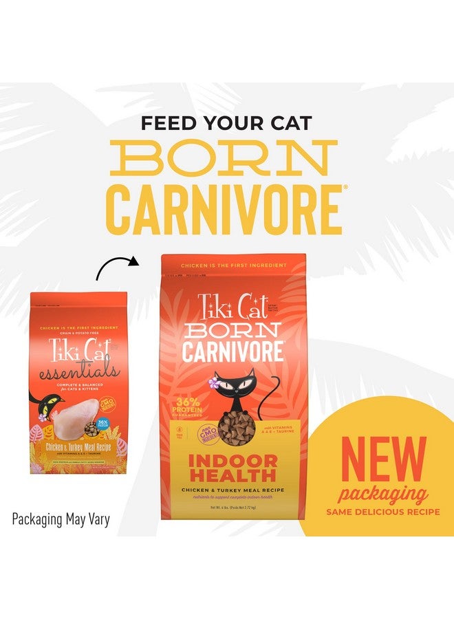 Tiki Cat Born Carnivore Indoor Health, Chicken & Turkey Meal, GrainFree Baked Kibble To Maximize Nutrients, Dry Cat Food, 6 Lbs. Bag - Image 3