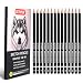 GETHPEN Professional Drawing Sketching Pencil Set 14 Pieces Graphite Pencils14B 4H Ideal for Drawing Art Sketching Shading Artist Pencils for Beginners Pro Artists - Image 2