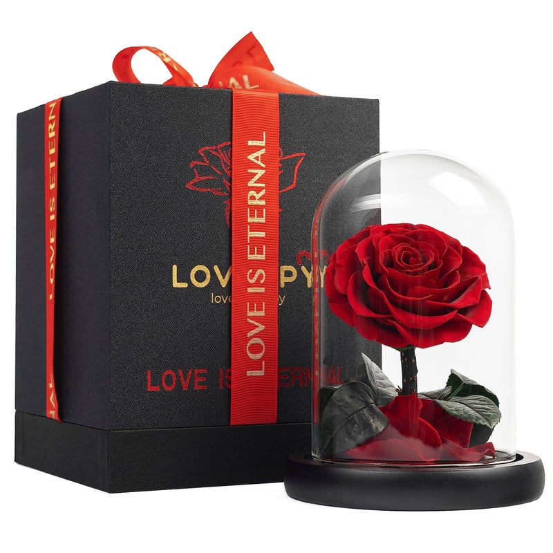 LOVAPPY Eternal Enchanted Forever Preserved Rose  Infinity Rose in Glass Dome  Made from Real Fresh Beauty Rose  Romantic Gifts for Female  Valentines Day  Gift for Mom Red 165 cm