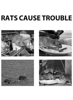 MOONSPRY Home, Outdoor, Car, Rat Repellent, Anti-rat, Rat Repellent, 120g*2  - Image 3