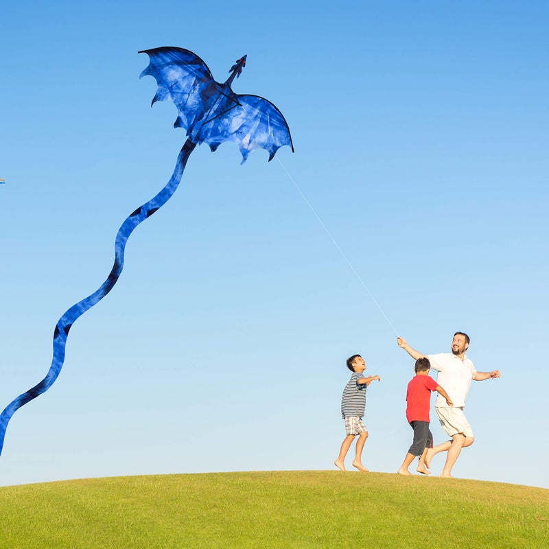 JEKOSEN Ice Dragon 54" Huge Kite for Kids and Adults Easy to Fly Single Line String with 160" Tail for Beach Trip Park Family Outdoor Games and Activities - Image 4