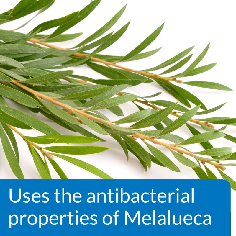 API POND MELAFIX Pond Fish Remedy 16-Ounce Bottle - Image 4