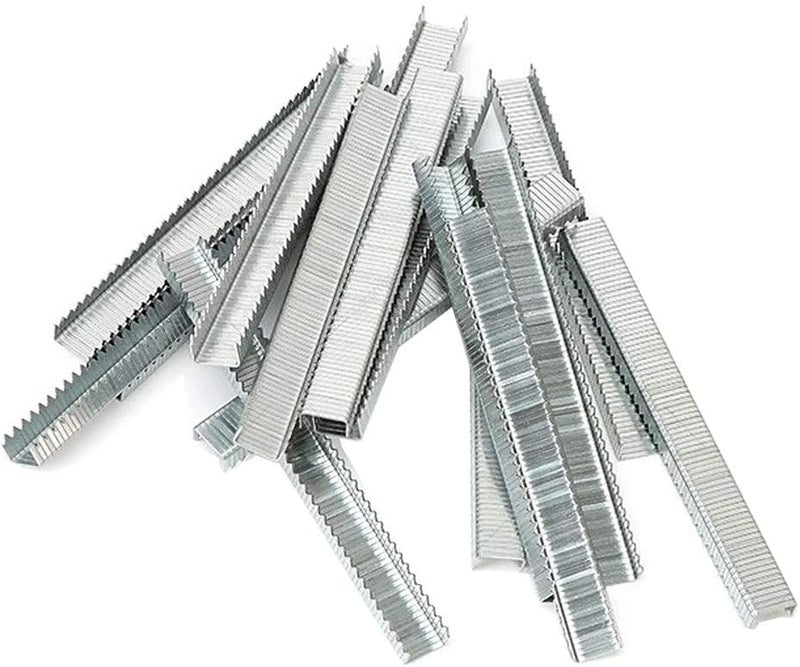 Arrow Fastener دبابيس Arrow Fastener 506IP الثقيلة T50 للتنجيد، البناء، الأثاث، الحرف، بطول ساق 3/8 بوصة، وحجم تاج 3/8 بوصة، 5000 قطعة (عبوة من 1) - Image 2