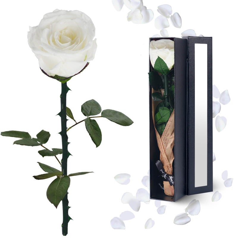YAMPP Preserved Flowers Gifts for Women Mothers Day Birthday Christmas Anniversary Wedding Gift for Mom Girlfriend Wife Grandma Forever Rose for Her White Single Rose