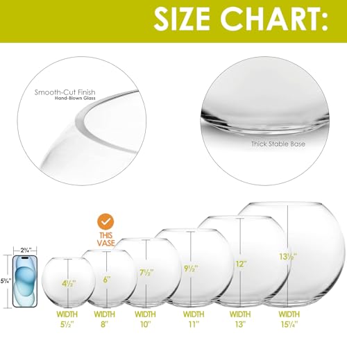 CYS EXCEL Glass Bubble Bowl (H-6" W-8", Approx. 3/4 Gal.) Small Fish Bowl Round Terrarium Vase Globe Flower Centerpiece for Weddings Events Arrangements - Image 3