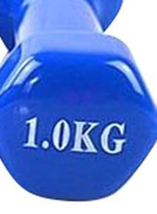 ALCOACH 2-Piece Double Dumbbells - 1 Kg 1kg  - Image 4