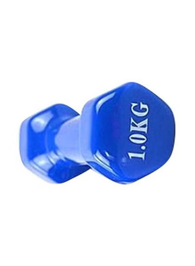 ALCOACH 2-Piece Double Dumbbells - 1 Kg 1kg  - Image 3