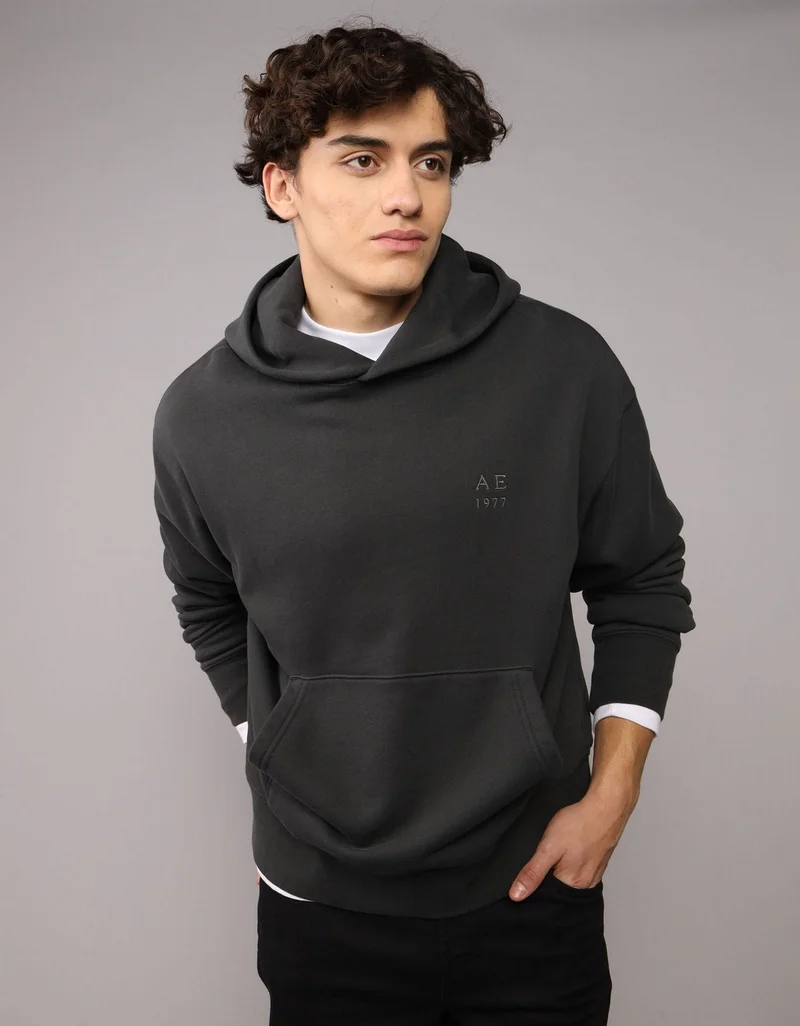 American Eagle AE Heavyweight Graphic Hoodie