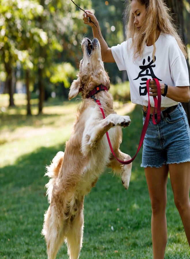CollarDirect Dog Leash Durable Pet Leash for Walking Training Running for Dogs (Reflective Padded, Pink, S) - Image 4