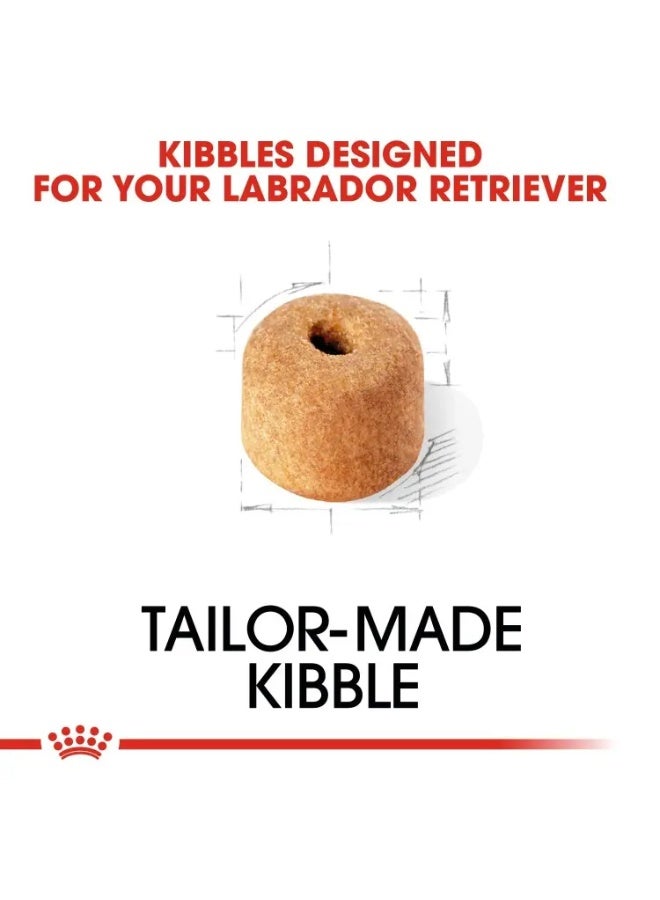 Royal Canin Breed Health Nutrition Labrador Adult Dry Food Bag 3kg - Image 4