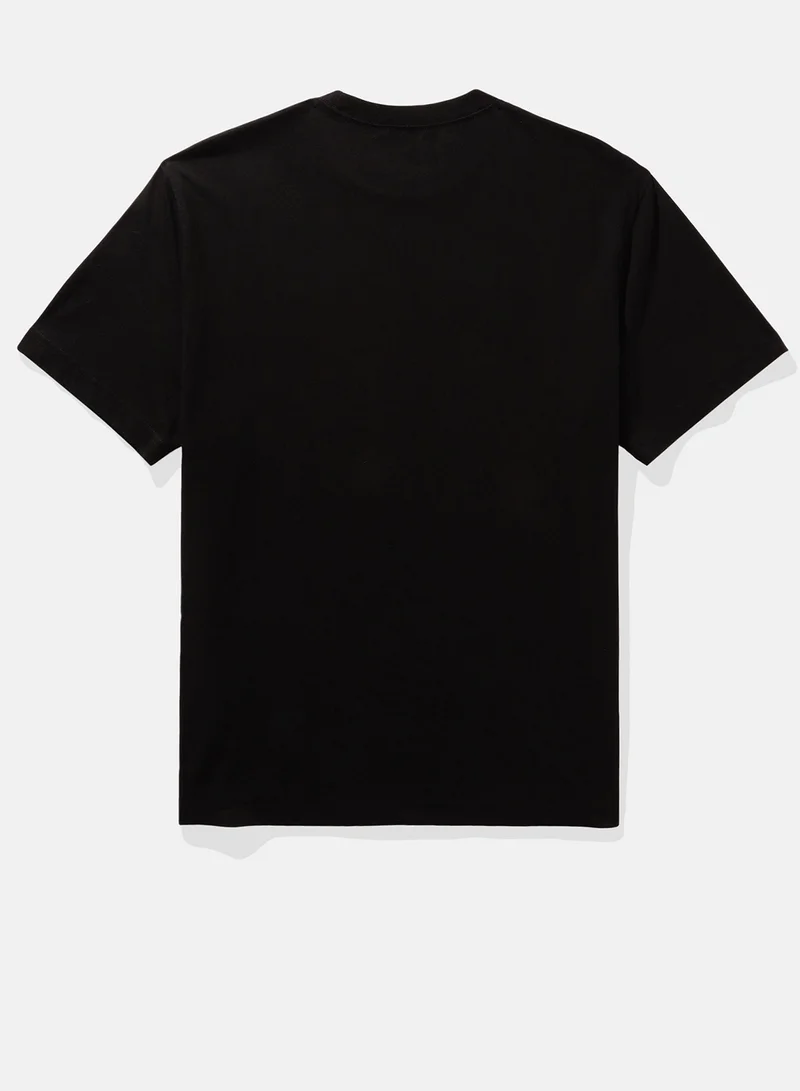 American Eagle Embroidered Crew Neck Graphic T-Shirt