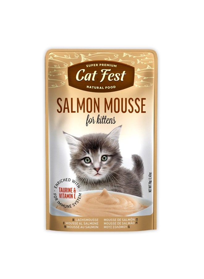 Cat Fest موس السلمون للقطط الصغيرة - 70 جرام - Image 1