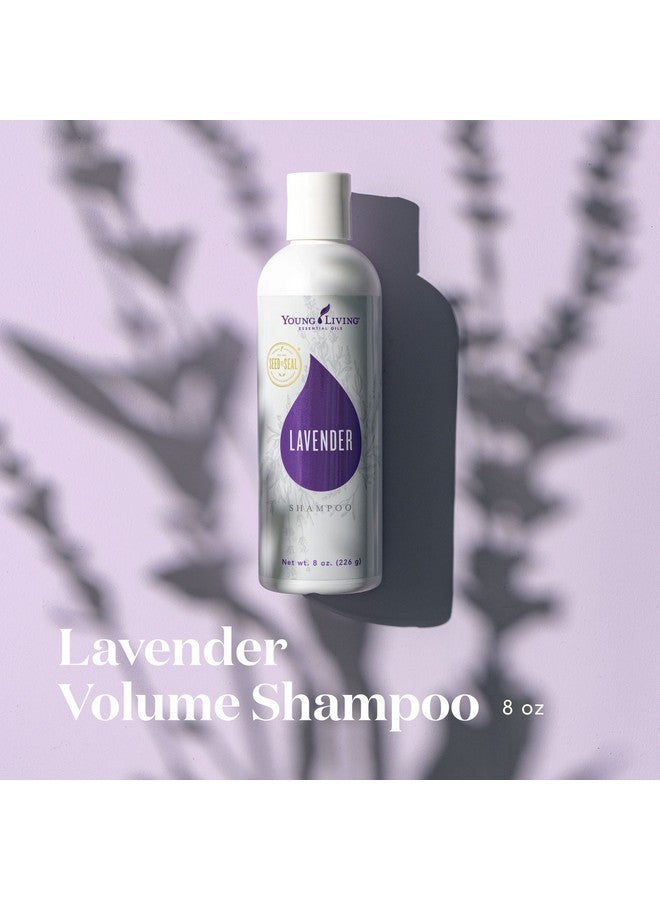 يونغ ليفينغ شامبو يونغ ليفينغ باللافندر لكثافة الشعر، 236 مل - يغذي الشعر من الجذور إلى الأطراف لكثافة ولمعان | خفيف الوزن، خالٍ من السيليكون | صحي، ناعم، وأملس - Image 2