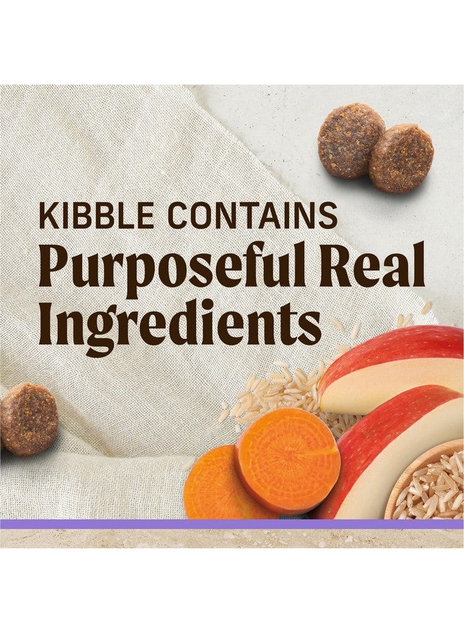 ميريك طعام الكلاب الجاف الفاخر من ميريك هيلثي جرينز، حبوب صحية وطبيعية لهضم صحي، وصفة للجراء - كيس 4.0 رطل - Image 2