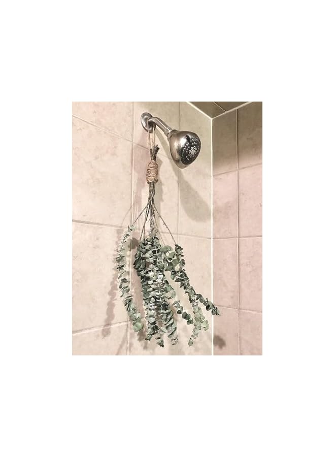 The Bros 10 Pieces Eucalyptus Dried Plant,45cm Natural Dried Flowers Bouquet Eucalyptus Branch Real Eucalyptus Leaves Deco for Wedding,Spring,Living Room,Bedroom,Bathroom - Image 3