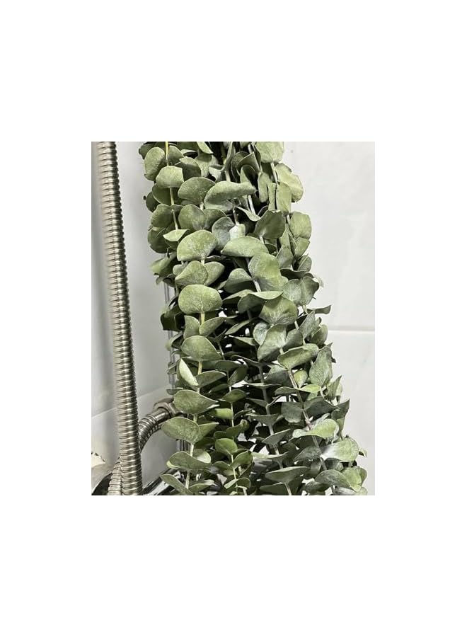 The Bros 10 Pieces Eucalyptus Dried Plant,45cm Natural Dried Flowers Bouquet Eucalyptus Branch Real Eucalyptus Leaves Deco for Wedding,Spring,Living Room,Bedroom,Bathroom - Image 2