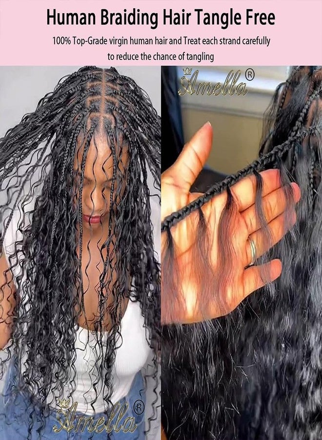 Amella Boho Hair for Braiding 24inch (1pack-2bundles) Water Wave Curly Braiding Hair Human Braiding Hair for Boho Braids Natural Black Color - Image 4