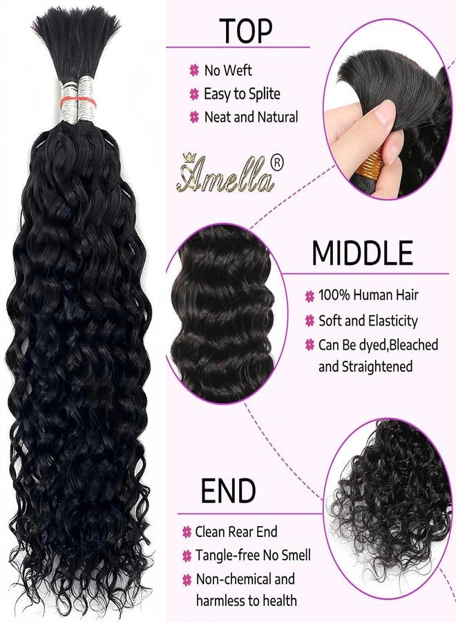Amella Boho Hair for Braiding 24inch (1pack-2bundles) Water Wave Curly Braiding Hair Human Braiding Hair for Boho Braids Natural Black Color - Image 2