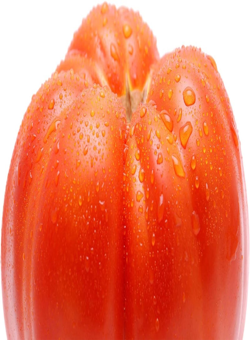 GGOOT 12 x Tomato Gigantomo F1 Vegetable/Fruit Seeds (Produces Fruits up to a Whopping 700g- 1g in Weight) - Image 2
