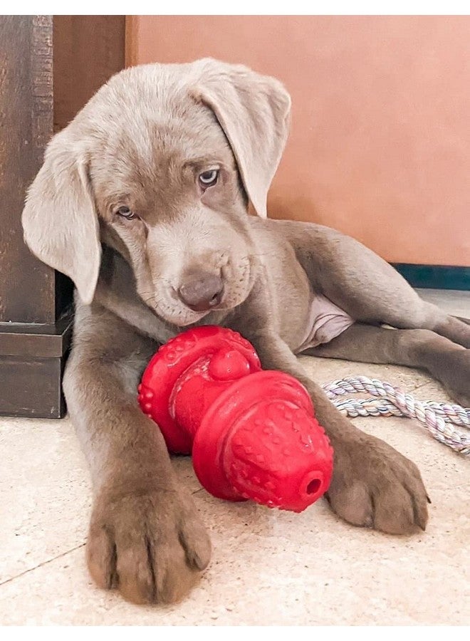 Spunky pup 100% Natural Rubber Hydrant Small - Image 2