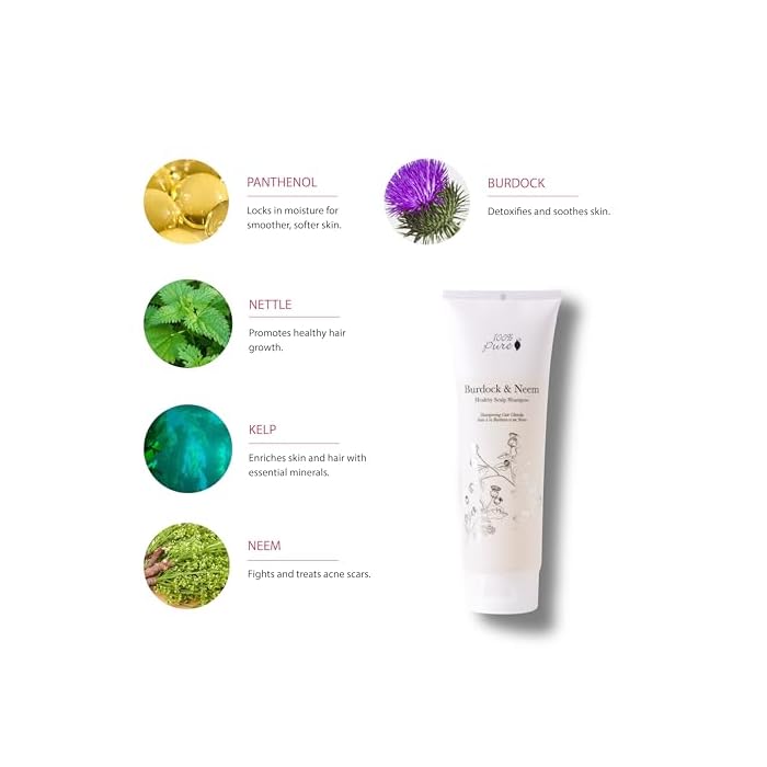 100 % Pure 100% PURE Burdock & Neem Healthy Scalp Clarifying Shampoo Moisturizing Detox with Rose Hydrosol Replenishing Cleanser for Dry, Itchy, Flaky Scalp for Women & Men - 8 Fl Oz - Image 3