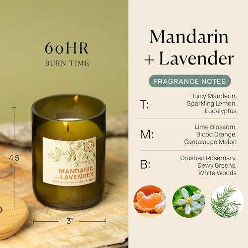 Paddywax Eco Collection Scented Soy Wax Candle in Glass Jar, Mandarin & Lavender Fragrance, Green Vessel with Wood Lid, 8 oz - Image 3