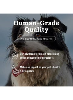 MOJO Mojo Joint Supplement for Dogs and Cats, Feline + Canine Food Grade Hip & Joint Supplement with Glucosamine and Chondroitin, Dog & Cat Mobility Supplement (Small, 8 oz)  - Image 4