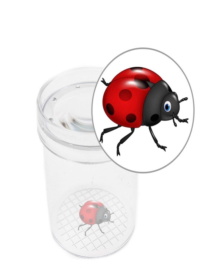 SimpleSS 8 Pieces Bug Viewer Critter Insect Cage Magnifying Insect Box Bug Magnifier Container Bug Catcher Cage, Science Nature Exploration Tools - Image 3
