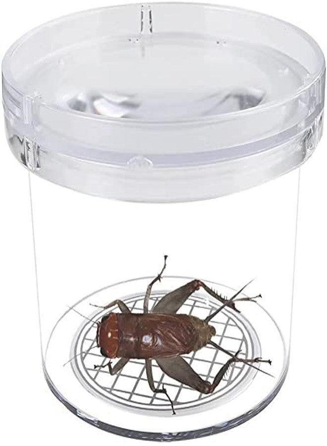 SimpleSS 8 Pieces Bug Viewer Critter Insect Cage Magnifying Insect Box Bug Magnifier Container Bug Catcher Cage, Science Nature Exploration Tools - Image 4