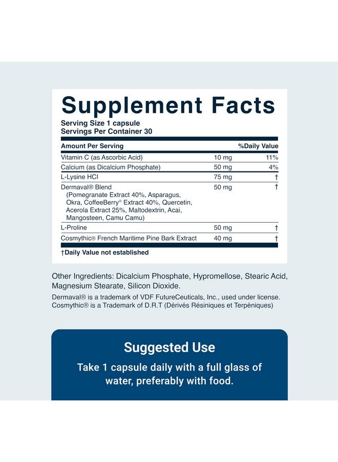 ACTIVATEDYOU Essential Skin Food, Advanced Skincare Collagen Elastin Support Supplement for Aging Skin, Helps Improve Appearance of Face Texture, Sagging w/Dermaval, Vitamin C, Lysine (30 Capsules) - Image 2