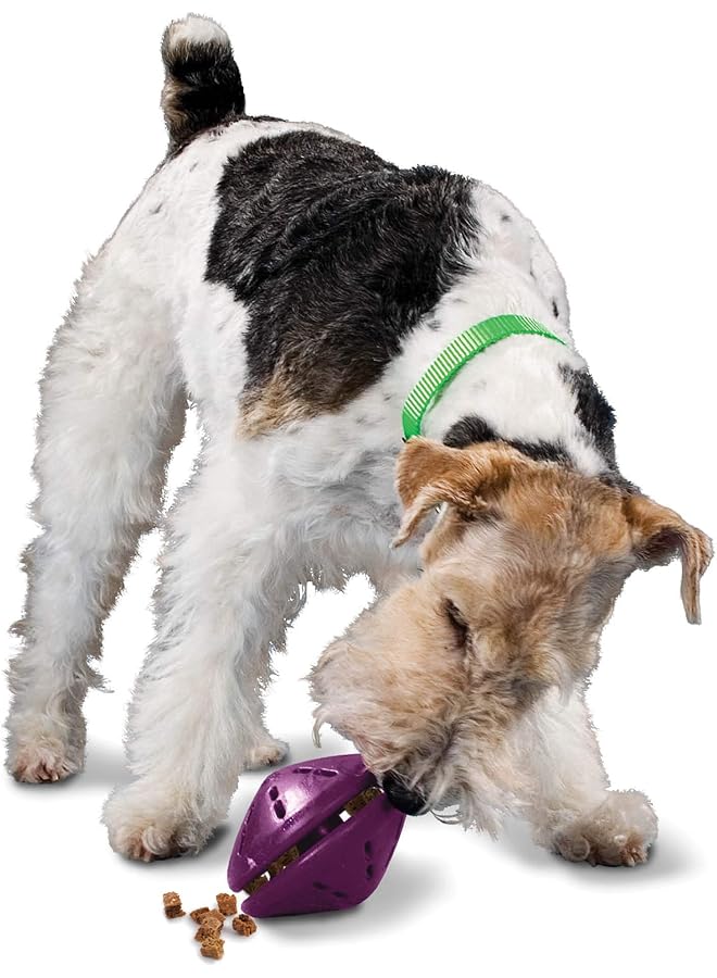 بيت سيف لعبة توزيع الحلوى للكلاب من Busy Buddy Twist 'N Treat، صغيرة جدًا، صغيرة، متوسطة، كبيرة - Image 1
