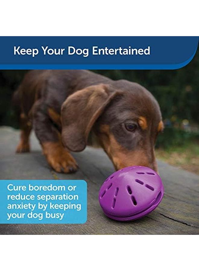 بيت سيف لعبة توزيع الحلوى للكلاب من Busy Buddy Twist 'N Treat، صغيرة جدًا، صغيرة، متوسطة، كبيرة - Image 4