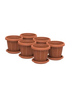 Cedargrain Flowerpot 8'' set of 6 with Tray (Terracotta)