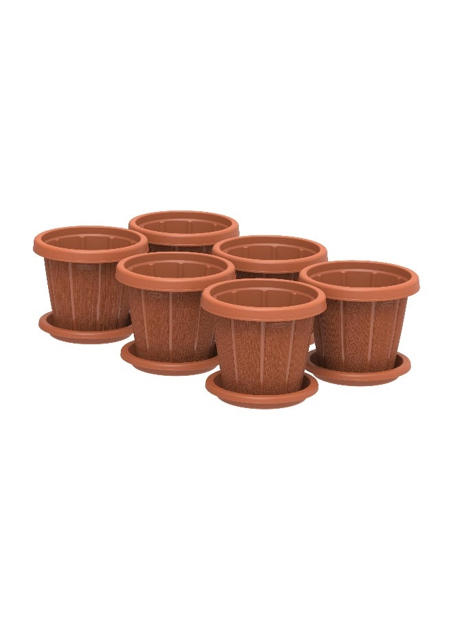 Cosmoplast Cedargrain Flowerpot 8'' set of 6 with Tray (Terracotta)  - Image 1